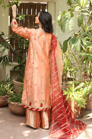 Peach Embroidered Tissue Silk Organza Salwar Kameez (3-Piece) - Image 4