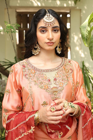 Peach Embroidered Tissue Silk Organza Salwar Kameez (3-Piece) - Image 5