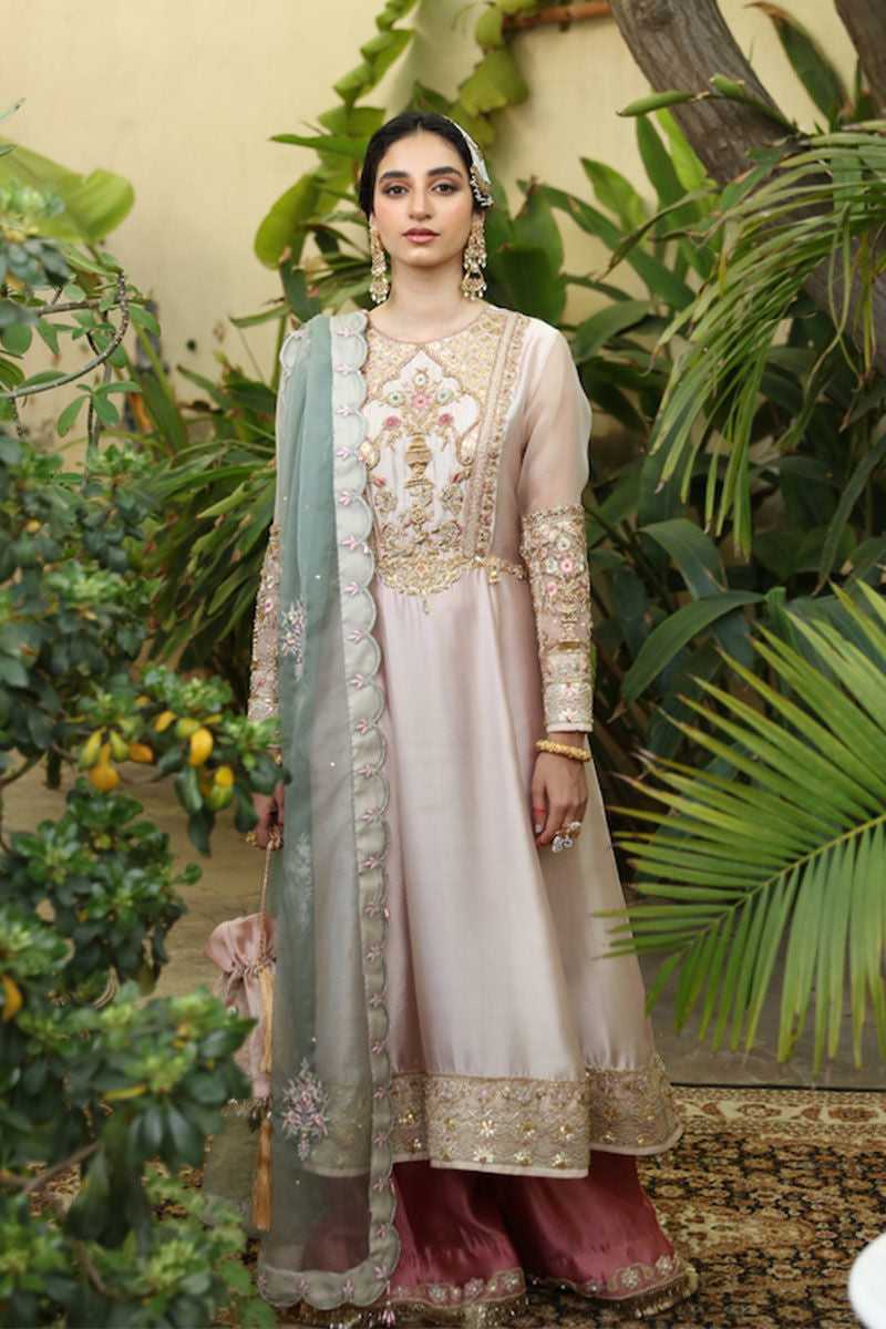 Pakistani Baby Pink Embroidered Tissue Silk Organza Salwar Kameez (3-Piece) - Image 1