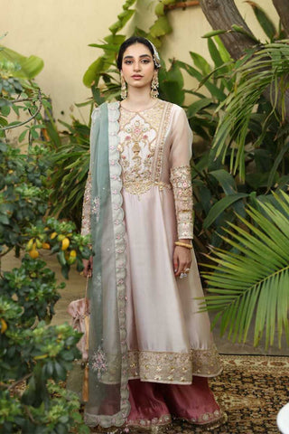 Pakistani Baby Pink Embroidered Tissue Silk Organza Salwar Kameez (3-Piece) - Image 2