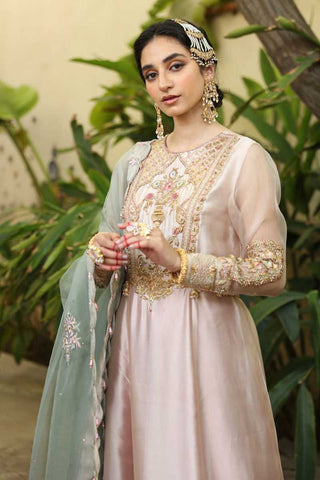 Pakistani Baby Pink Embroidered Tissue Silk Organza Salwar Kameez (3-Piece) - Image 3