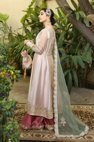 Pakistani Baby Pink Embroidered Tissue Silk Organza Salwar Kameez (3-Piece) - Image 4