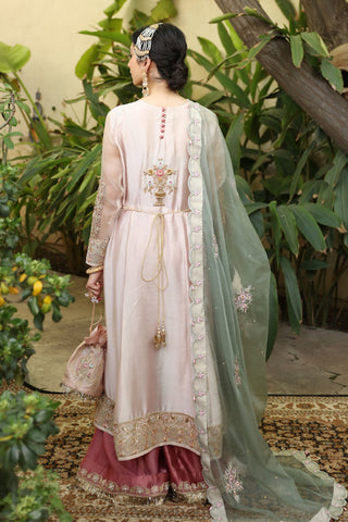 Pakistani Baby Pink Embroidered Tissue Silk Organza Salwar Kameez (3-Piece) - Image 6