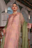 Powder Pink Sheesha Work Organza Salwar Kameez (3-Piece) - Image 3