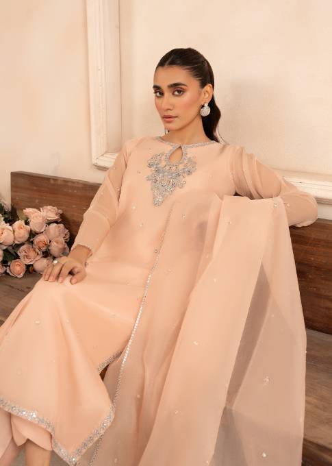 Pakistani Peach Embroidered Organza Kurta Set (3-Piece) - Image 5