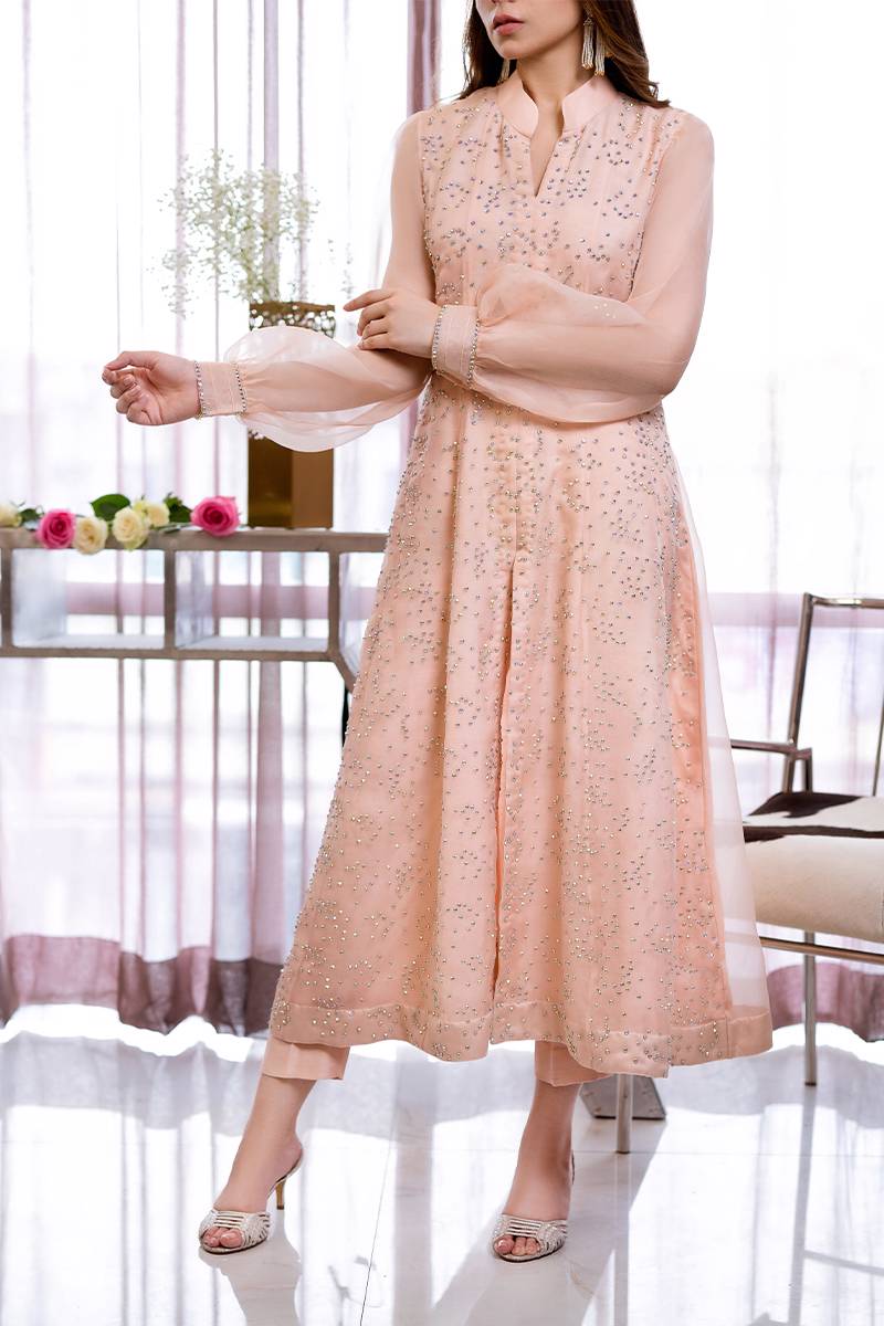 Champagne Pink Swarovski Embroidered Organza Long Dress (2-Piece) - Image 1