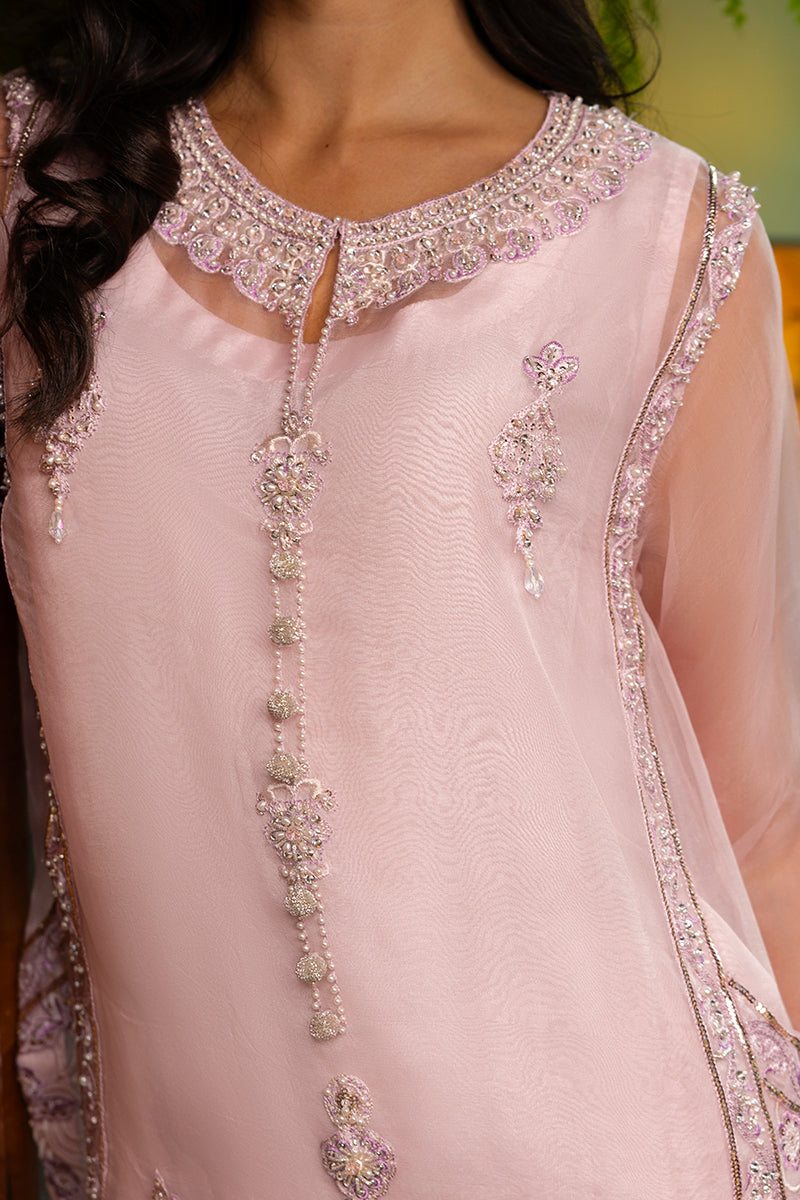 Blush Pink Embroidered Organza Salwar Kameez (3-Piece) - Image 6