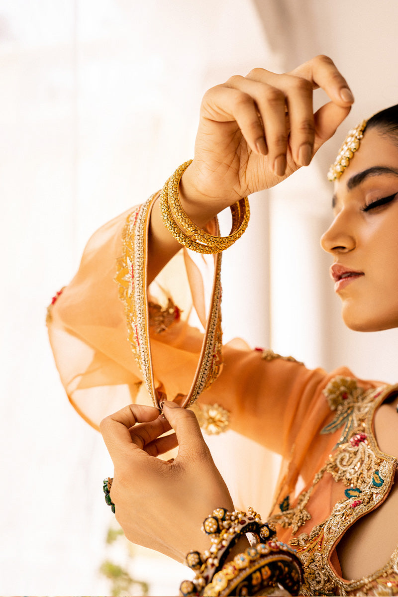 Peach Embroidered Organza & Silk Salwar Kameez (3-Piece) - Image 5