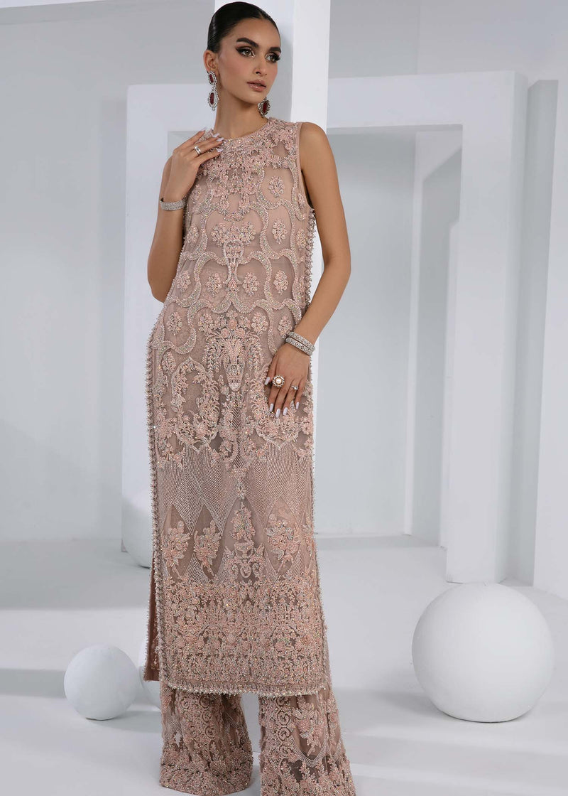 Blush Pink Embellished Net & Silk Salwar Kameez (3-Piece) - Image 4