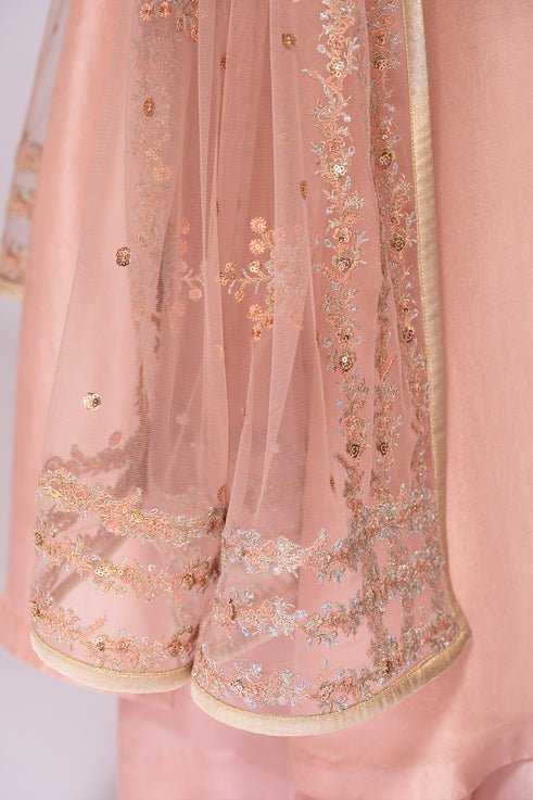 Light Pink Embroidered Raw Silk Salwar Kameez (3-Piece) - Image 7