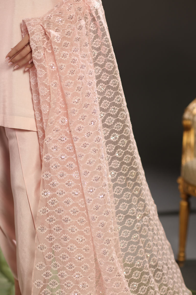 Blush Pink Embroidered Raw Silk Salwar Kameez (3-Piece) - Image 12