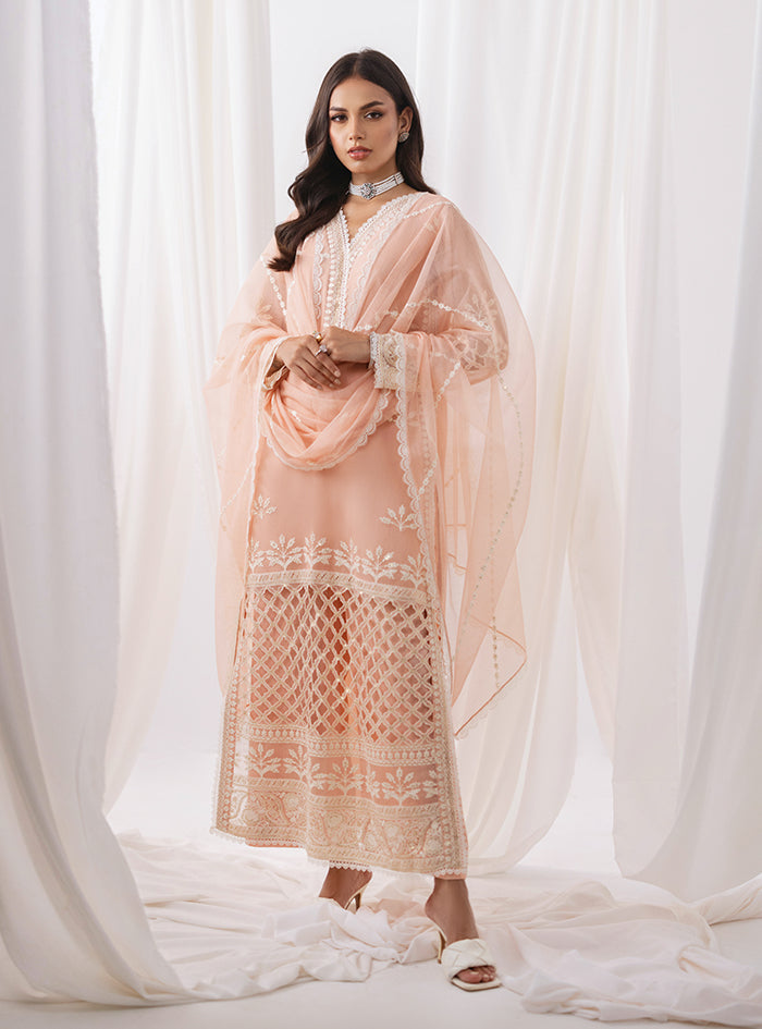 Peach Embroidered Net & Raw Silk Salwar Kameez (3-Piece) - Image 1