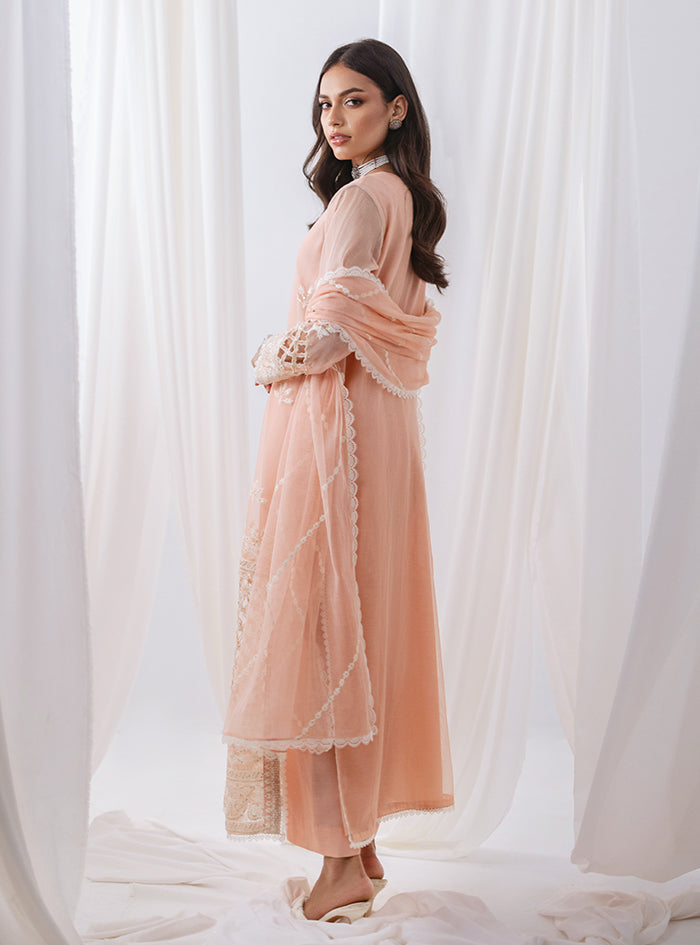 Peach Embroidered Net & Raw Silk Salwar Kameez (3-Piece) - Image 2