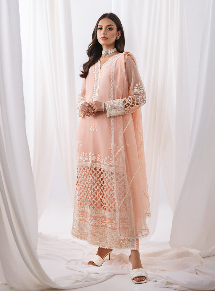 Peach Embroidered Net & Raw Silk Salwar Kameez (3-Piece) - Image 3