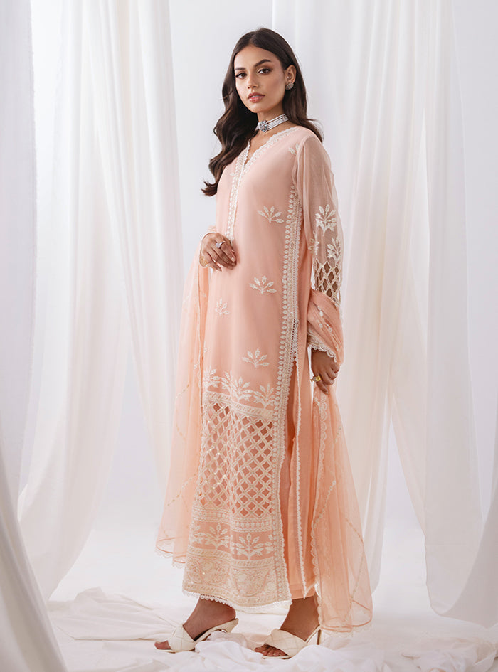 Peach Embroidered Net & Raw Silk Salwar Kameez (3-Piece) - Image 4