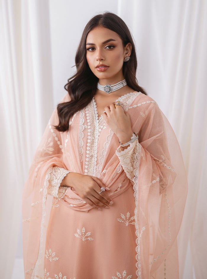 Peach Embroidered Net & Raw Silk Salwar Kameez (3-Piece) - Image 5