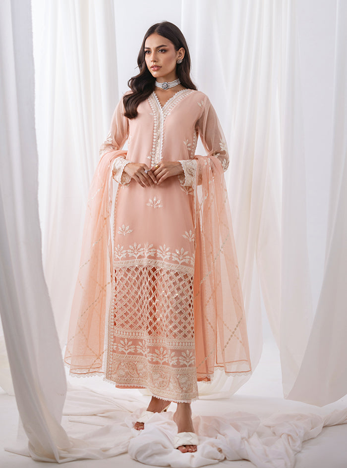 Peach Embroidered Net & Raw Silk Salwar Kameez (3-Piece) - Image 6