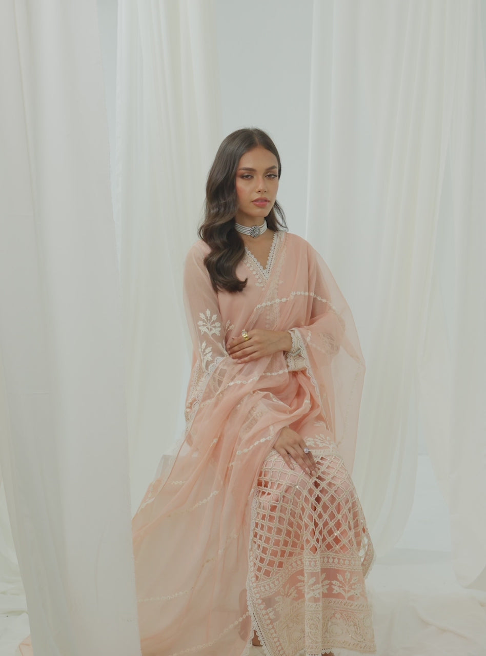 Peach Embroidered Net & Raw Silk Salwar Kameez (3-Piece) - Image 8