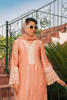Coral Embroidered Raw Silk Salwar Kameez (3-Piece) - Image 4