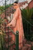 Coral Embroidered Raw Silk Salwar Kameez (3-Piece) - Image 9