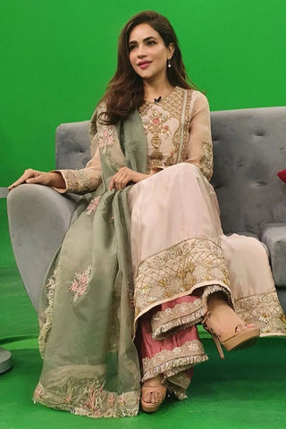 Pakistani Pale Pink Embroidered Silk-Blend Salwar Kameez (3-Piece) - Image 2