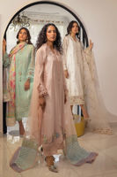 Pakistani Blush 3D Appliqué Silk Net Salwar Kameez (3-Piece) - Image 7