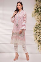 Pakistani Salmon Pink Embroidered Silk Net Salwar Kameez (3-Piece) - Image 3