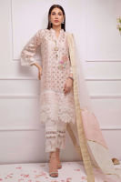 Blush Kaamdani Silk Net Salwar Kameez (3-Piece) - Image 1