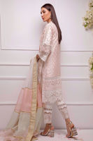 Blush Kaamdani Silk Net Salwar Kameez (3-Piece) - Image 3