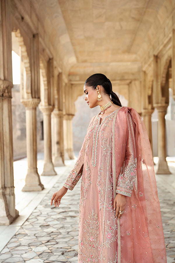 Peach Pink Embroidered Tissue Salwar Kameez (3-Piece) - Image 2