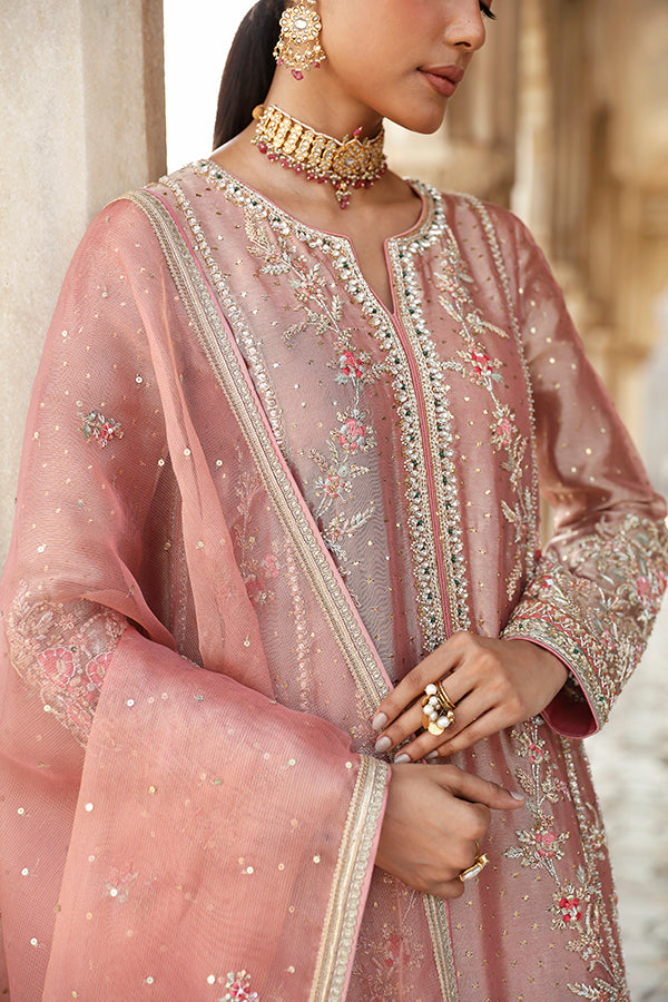 Peach Pink Embroidered Tissue Salwar Kameez (3-Piece) - Image 3