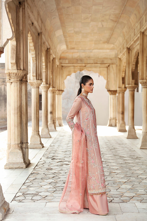 Peach Pink Embroidered Tissue Salwar Kameez (3-Piece) - Image 4