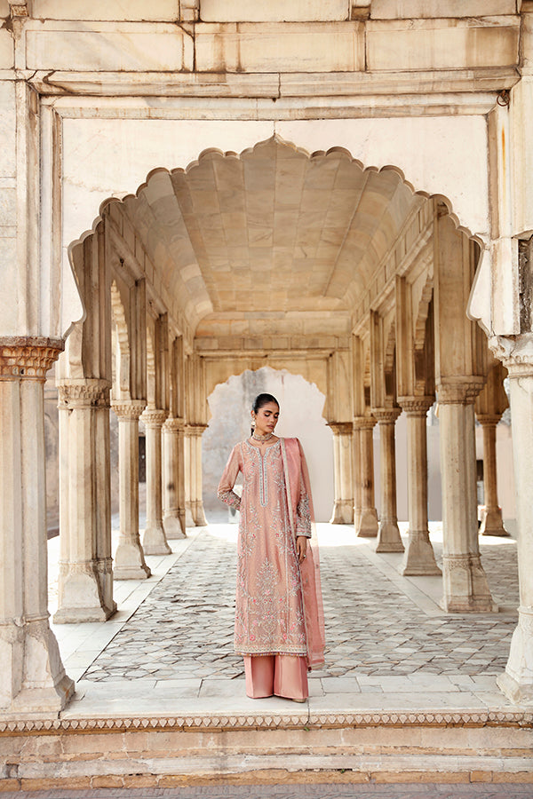 Peach Pink Embroidered Tissue Salwar Kameez (3-Piece) - Image 5