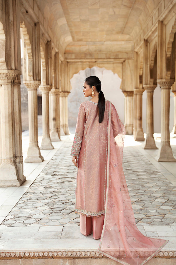 Peach Pink Embroidered Tissue Salwar Kameez (3-Piece) - Image 6