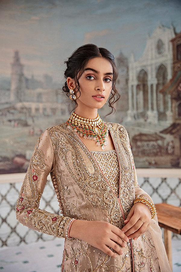 Pink Embroidered Tissue Salwar Kameez (3-Piece) - Image 4