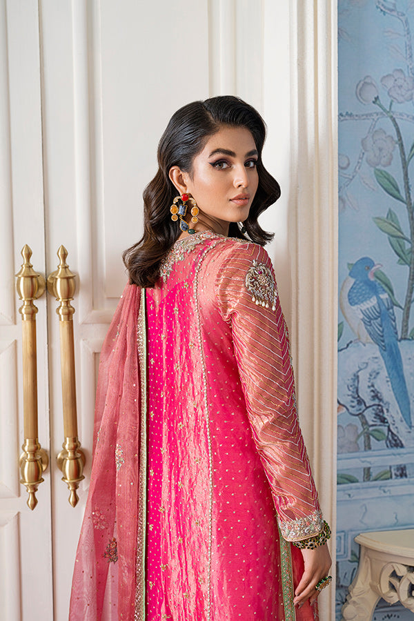 Pink Embroidered Tissue Salwar Kameez (3-Piece) - Image 3