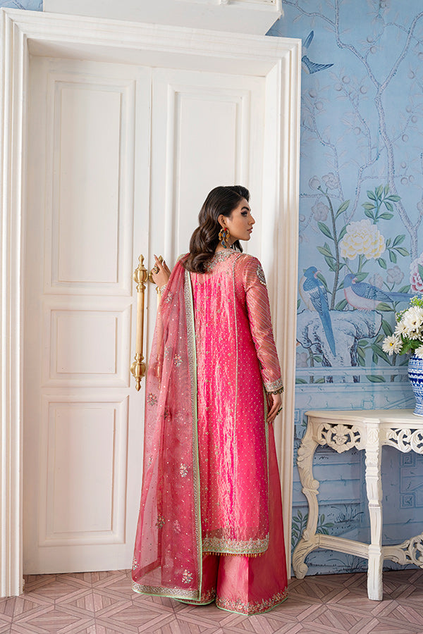 Pink Embroidered Tissue Salwar Kameez (3-Piece) - Image 4