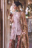 Pakistani Peach Embroidered Tissue Salwar Kameez (3-Piece) - Image 4
