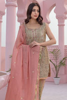 Sandstone Zardozi Tissue Salwar Kameez (3-Piece) - Image 5