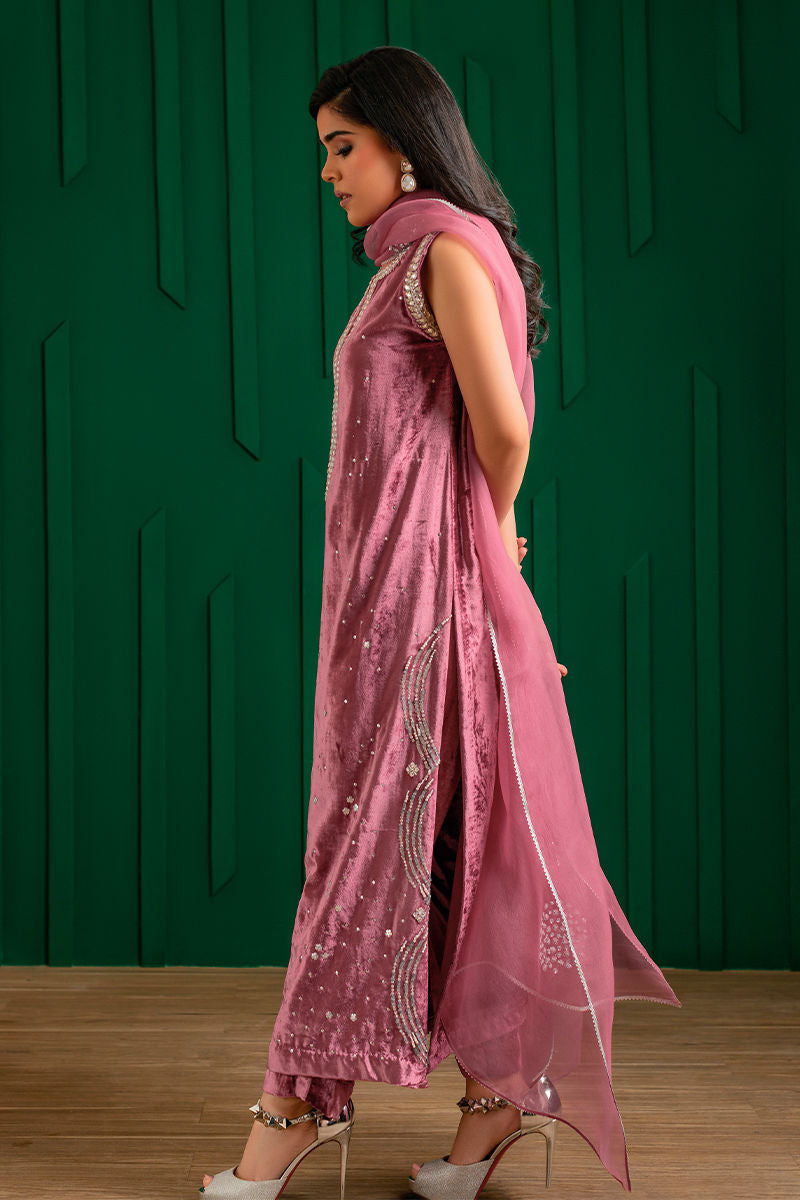 Dusky Pink Handworked Velvet & Organza Salwar Kameez (3-Piece) - Image 4