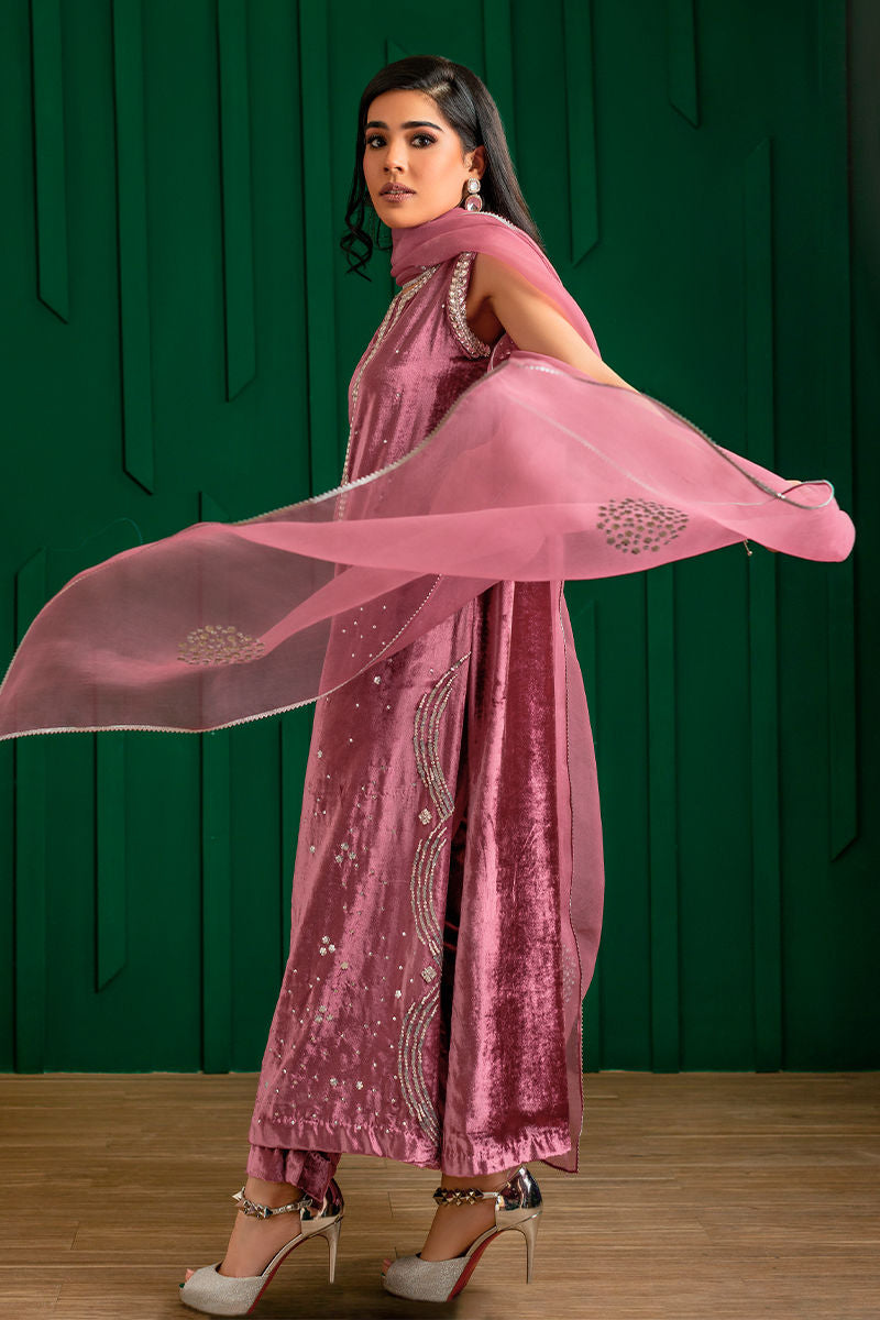 Dusky Pink Handworked Velvet & Organza Salwar Kameez (3-Piece) - Image 5