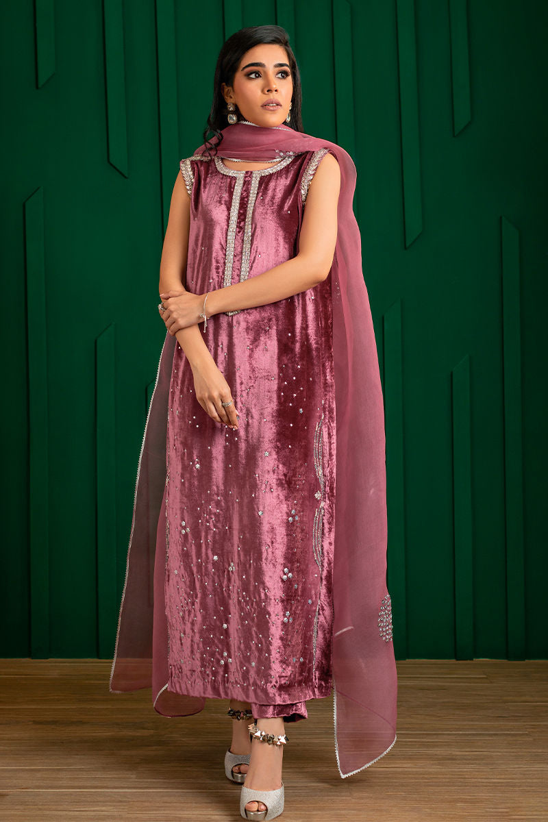 Dusky Pink Handworked Velvet & Organza Salwar Kameez (3-Piece) - Image 6