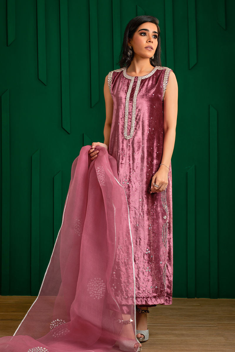 Dusky Pink Handworked Velvet & Organza Salwar Kameez (3-Piece) - Image 7