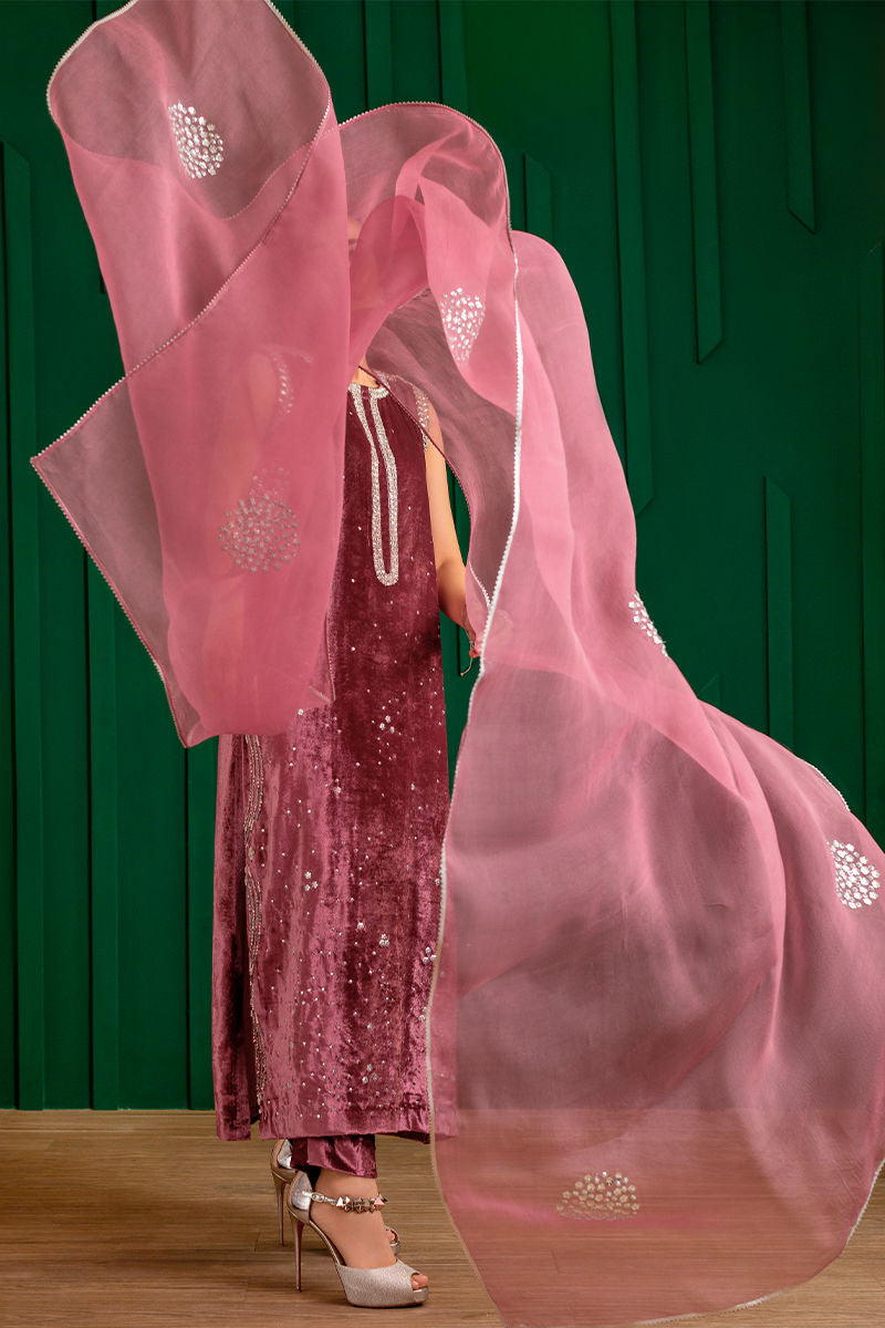 Dusky Pink Handworked Velvet & Organza Salwar Kameez (3-Piece) - Image 8