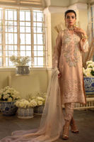 Peach Zari Khaadi Net Embroidered Salwar Kameez (3-Piece) - Image 2