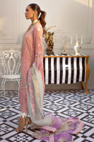 Pakistani Peach Zari Net Salwar Kameez (3-Piece) - Image 4