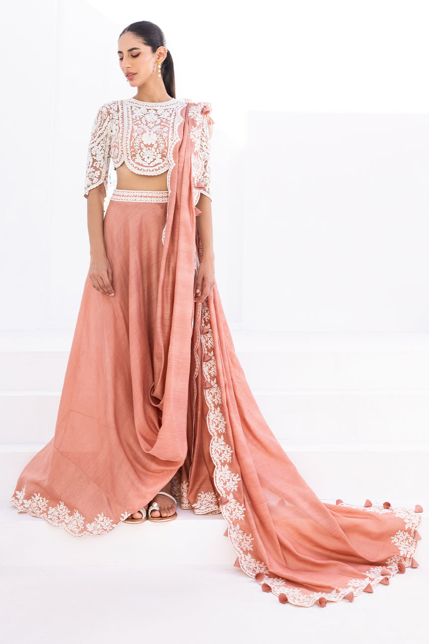 Salmon Pink Embroidered Net & Khaddi Silk Saree (2-Piece) - Image 1