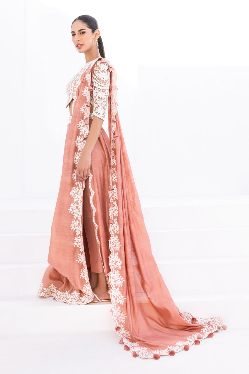 Salmon Pink Embroidered Net & Khaddi Silk Saree (2-Piece) - Image 4