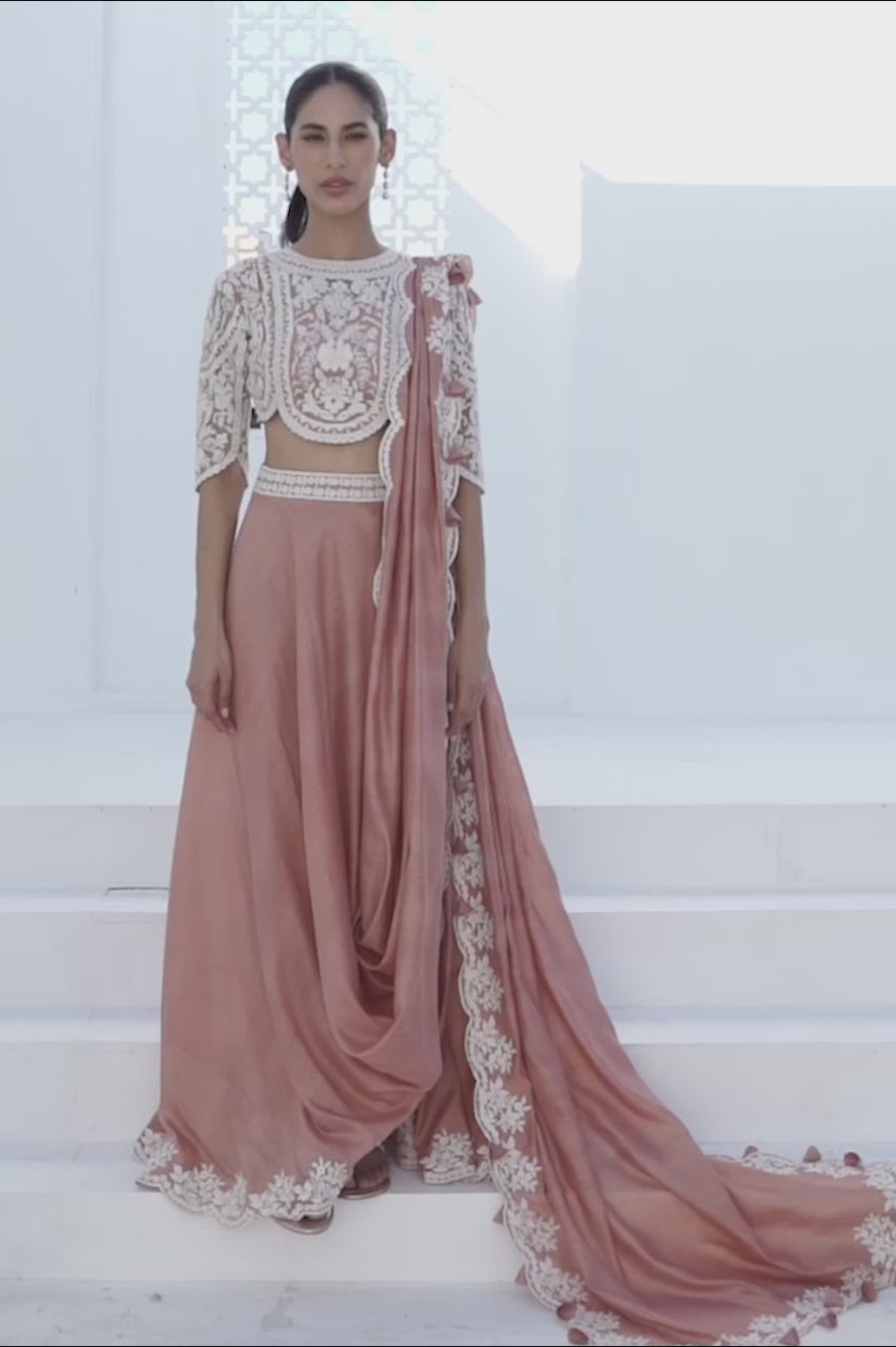 Salmon Pink Embroidered Net & Khaddi Silk Saree (2-Piece) - Image 7