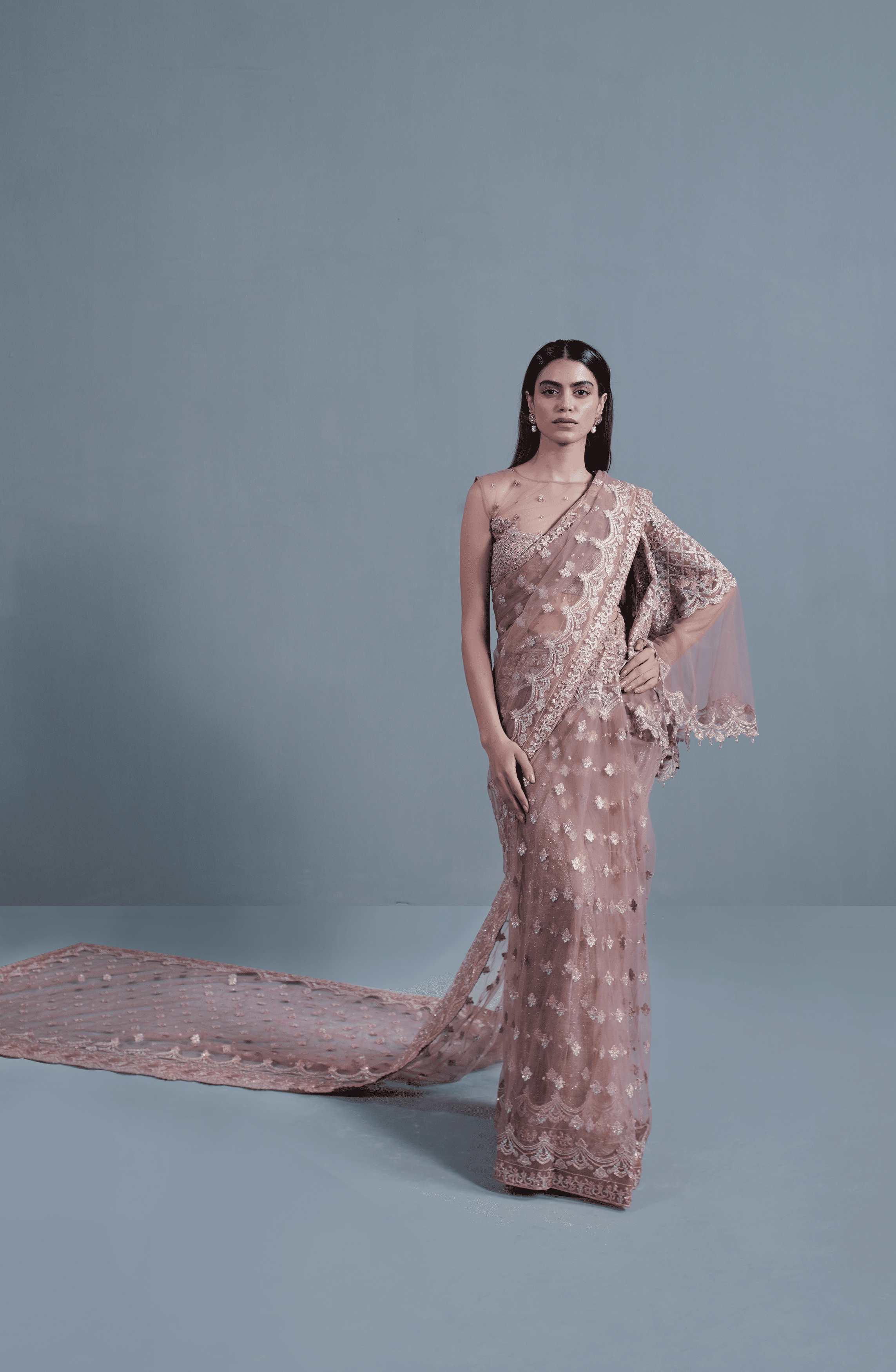 Dusty Rose Embroidered Net Saree (2-Piece) - Image 1